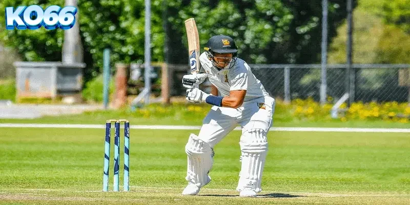 ca-cuoc-cricket-world-cup-ko66 Biểu đồ minh họa phương pháp phân bổ ngân sách cá cược thể thao theo từng giai đoạn giải đấu